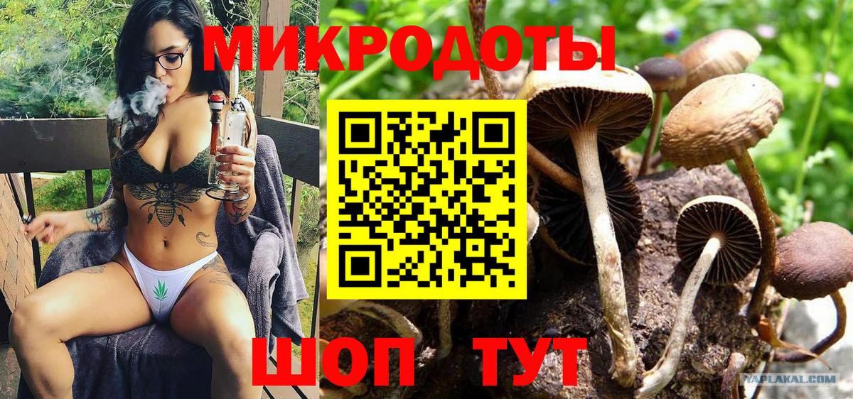 Галлюциногенные грибы Psilocybine cubensis  Галлюциногенные грибы прущие грибы  Белореченск  Вход с VPN 